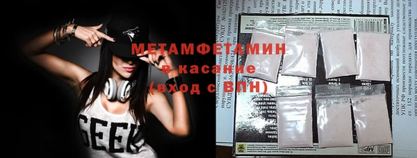 индика Богородск