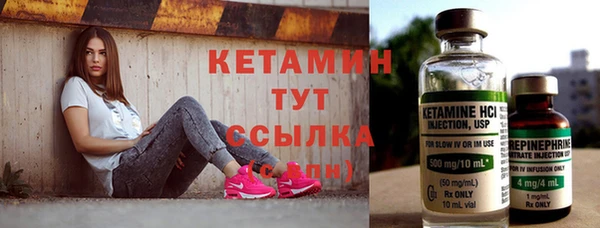 индика Богородск