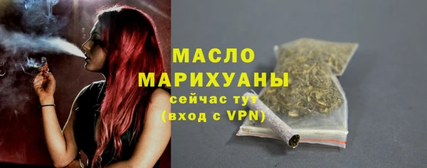 индика Богородск