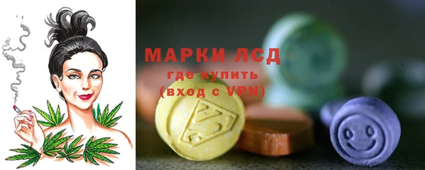стаф Богородицк