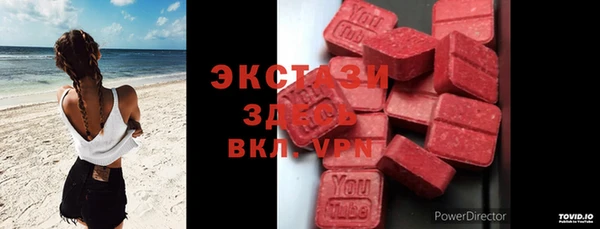 индика Богородск