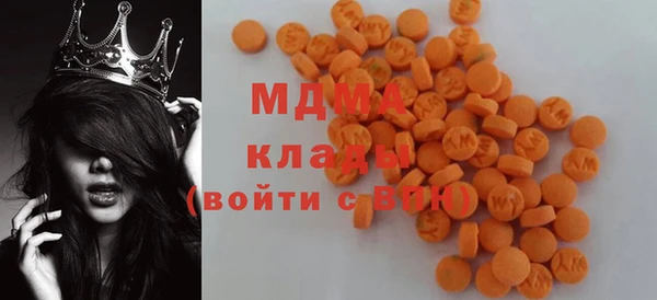 индика Богородск