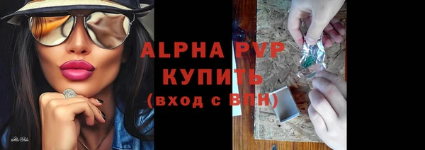 стаф Богородицк