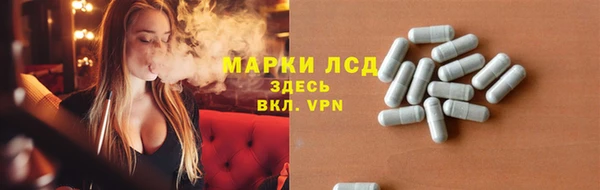 гидра Белокуриха