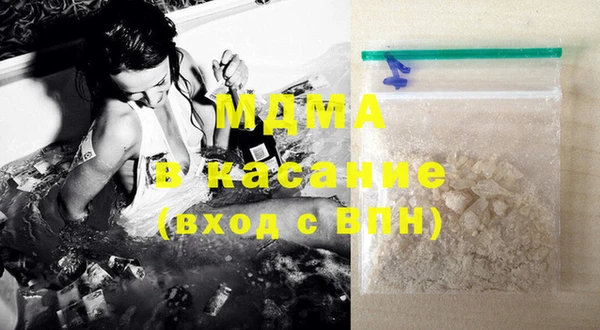 индика Богородск