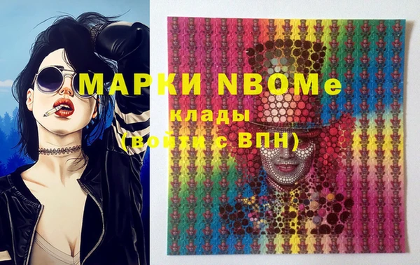 индика Богородск