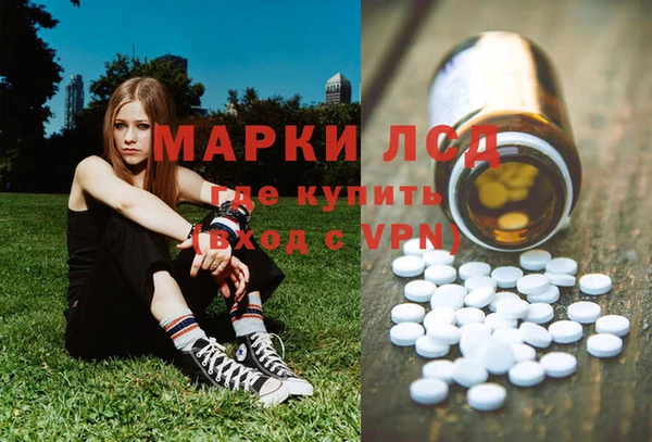 индика Богородск