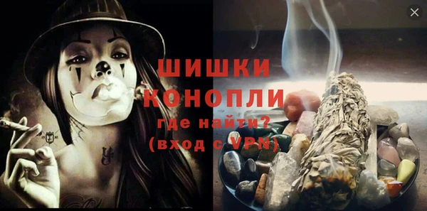 индика Богородск