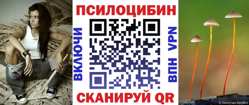 Галлюциногенные грибы Cubensis  как найти   Чкаловск 